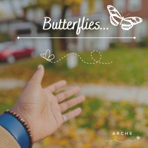BUTTERFLIES album cover