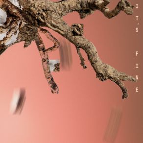 It's Fine album cover