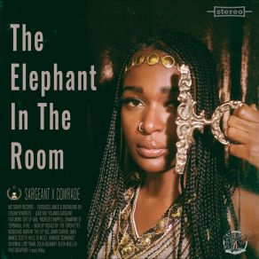 The Elephant In The Room album cover
