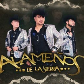 En Vivo Con Banda album cover
