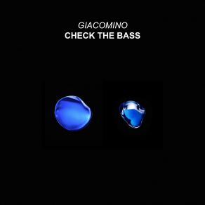 Check The Bass album cover