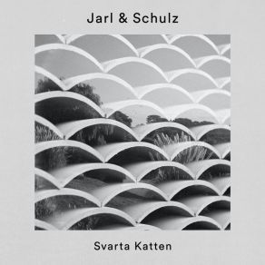 Svarta Katten album cover