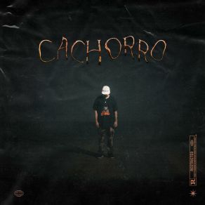 Cachorro album cover