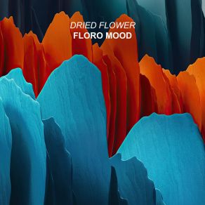 Floro Mood album cover