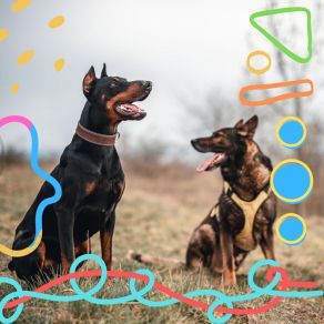 Peaceful Backdrop For Chill Dogs album cover