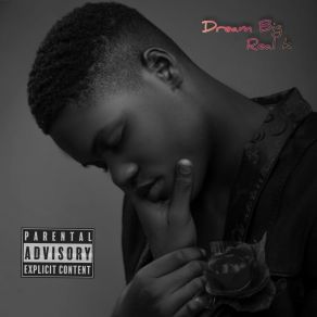 Dream Big album cover