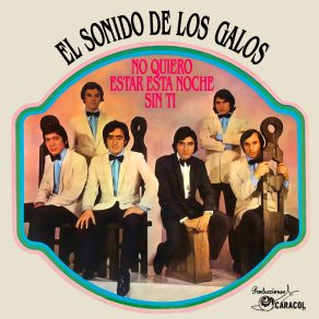 No Quiero Estar Esta Noche Sin Ti album cover