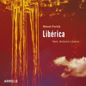 Arrels album cover
