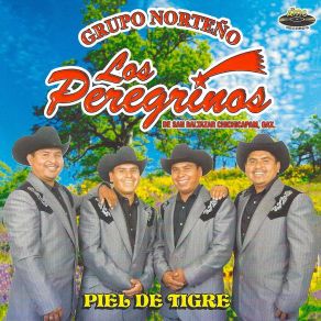 Piel De Tigre album cover
