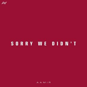 Sorry We Didn't album cover