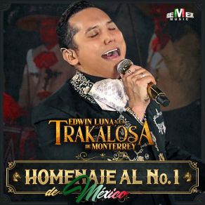 Homenaje Al N° 1 De México (Con Mariachi) album cover