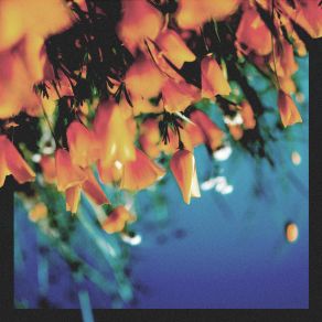 Quicksand (Single) album cover