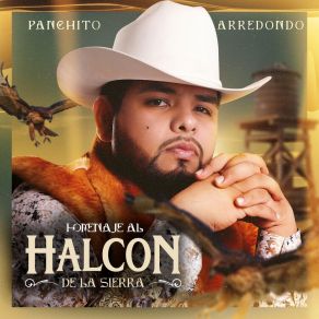 Homenaje Al Halcon De La Sierra album cover