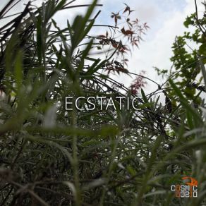 Ecstatic album cover