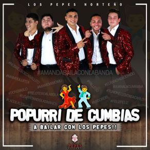 Popurrí De Cumbias... A Bailar Con Los Pepe's album cover