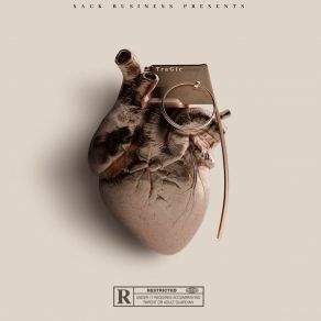 Pain On Protools album cover