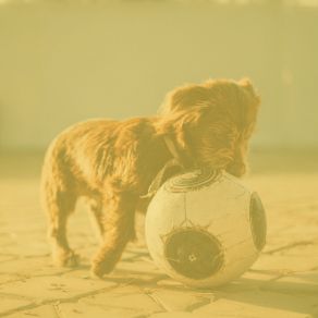 Music For Chill Dogs - Urbane Vibraphone And Tenor Saxophone album cover
