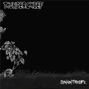 Synanthrope album cover