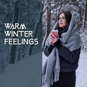 Warm Winter Feelings – Relaxing Music, Winter Jazz Mood, Good Atmosphere album cover