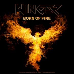 Born Of Fire album cover
