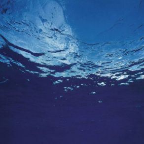 Marine Flowers album cover