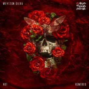 Hot (The Remixes) album cover