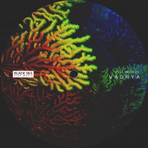 Vadrya album cover