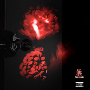 Reboot album cover