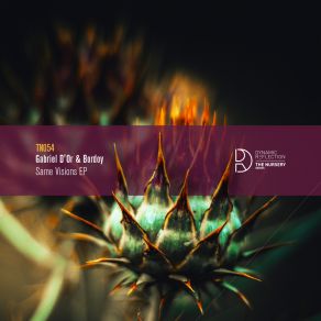 Same Visions EP (Original Mix) album cover