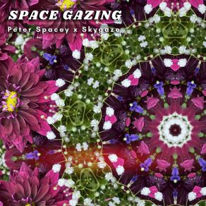Space Gazing album cover