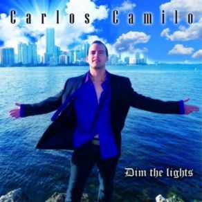 Dim The Lights album cover