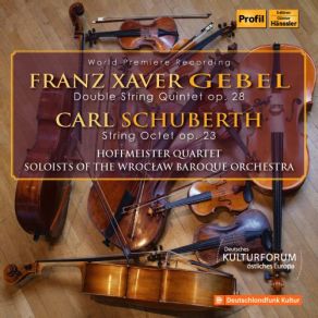 Gebel: Double String Quintet In D Minor - Schuberth: String Octet In E Major album cover