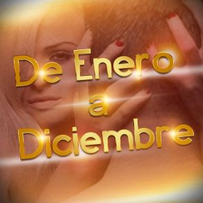 De Enero A Diciembre (Remix) album cover