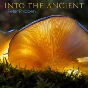 Into The Ancient album cover