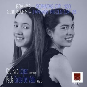 Brahms-Schumann: Works For Clarinet And Piano album cover