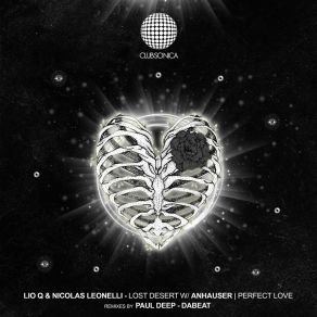 Lost Desert | Perfect Love album cover