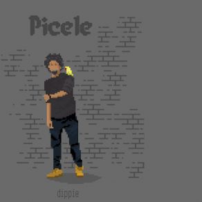 Picele album cover