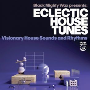 Eclectic House Tunes (Visionary House Sounds And Rhythms) album cover