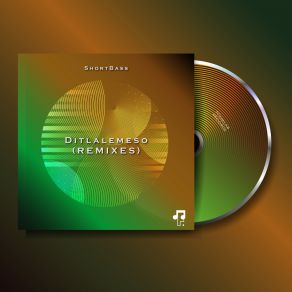 Ditlalemeso (REMIXES) album cover