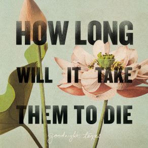 How Long Will It Take Them To Die album cover