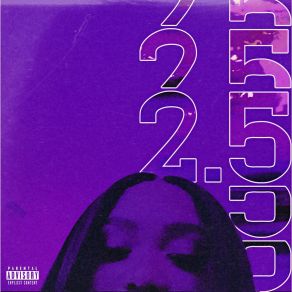Purple Heart Highway 2.5 album cover