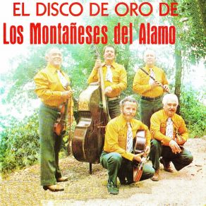 El Disco De Oro De Los Montañeses Del Alamo album cover