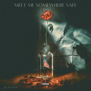 MEET ME SOMEWHERE SAFE album cover