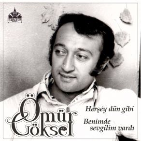 Her Şey Dün Gibi album cover