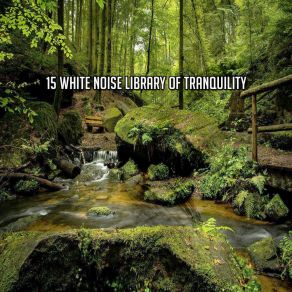 15 White Noise Library Of Tranquility album cover