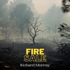 Fire Sale album cover