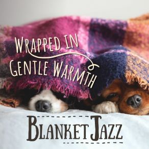 Wrapped In Gentle Warmth - Blanket Jazz album cover