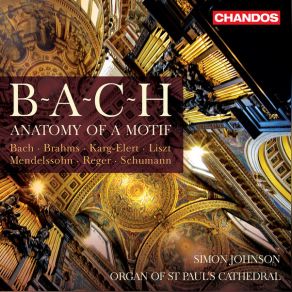 Bach, Brahms, Karg-Elert, Liszt, Reger, Schumann - B. A. C. H Anatomy Of A Motif (Japan Edition) album cover