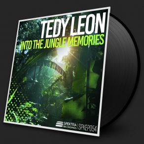 Into The Jungle Memories album cover