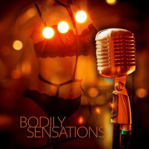 Bodily Sensations: Sensual Music For Romantic Evening For Sex And Erotic Caresses album cover